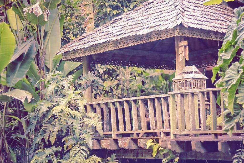 Fig Tree Hills Resort  Bayan Lepas Exterior foto
